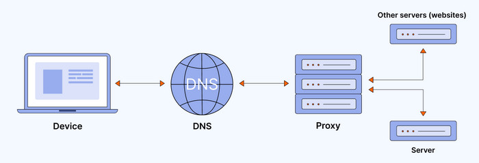 smart dns