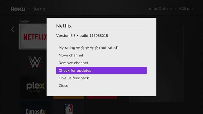 Update Netflix on roku