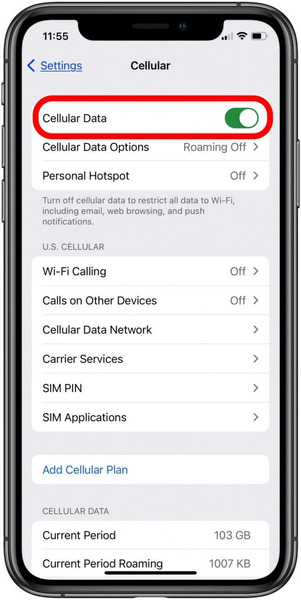 Fix Disney+ not working on iPhone: turn on Cellular Data